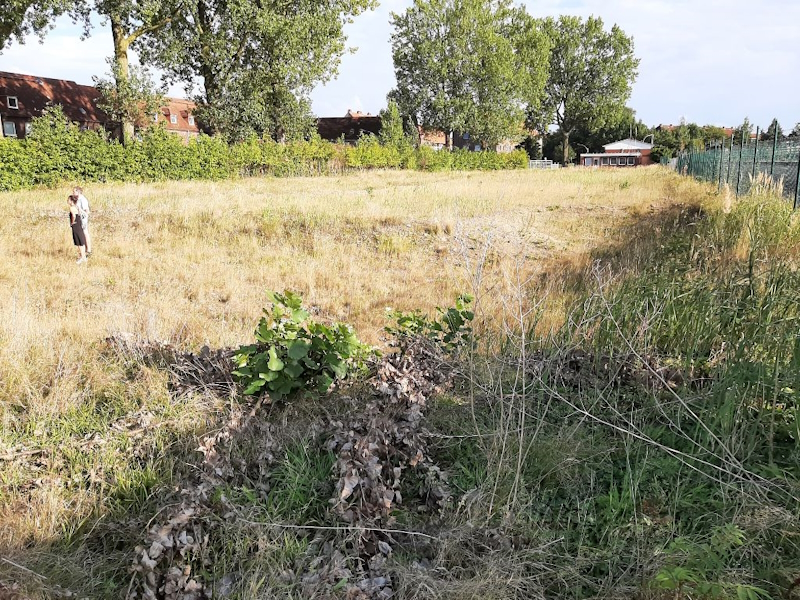 Das zu bebauende Grundstück am Steendiekkanal